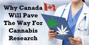 Why Canada Will Pave The Way In Cannabis Research