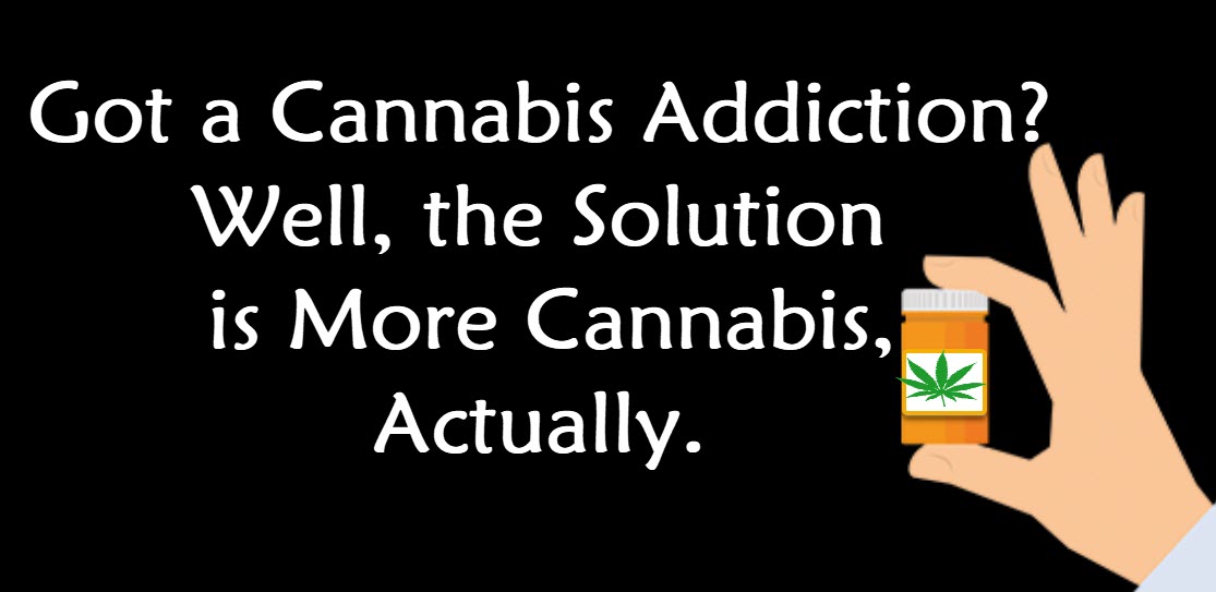 Got a Cannabis Addiction? Well, the Solution is More Cannabis Says a