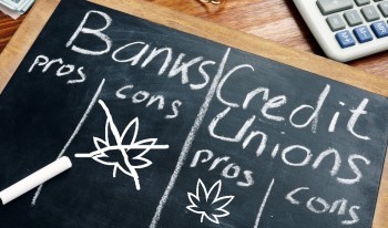 First US Credit Union Gets Accredited to Handle Cannabis and Hemp Banking