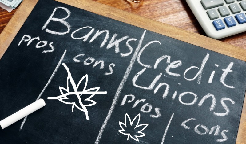 credit union takes marijuana businesss
