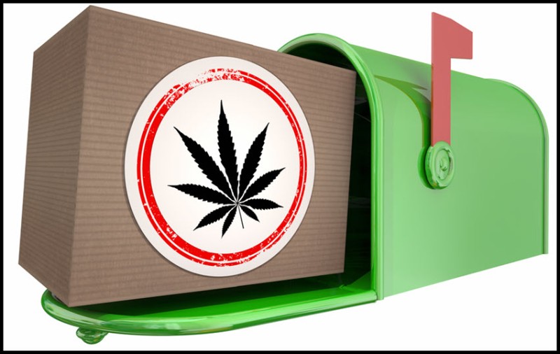 mailing cannabis in the US mail