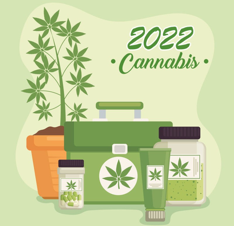 top cannabis products 2022