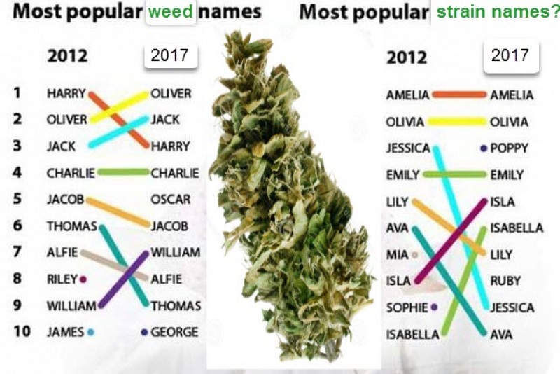 strain names