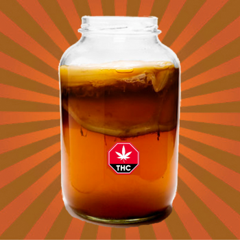 What is Cannabis Kombucha and How Do You Make It?