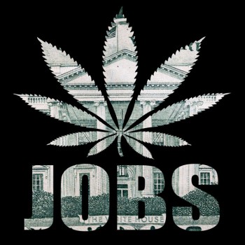 Nearly 500,000 People Work in the Legal Marijuana Industry, So How Many More People Work in the Illicit Market?