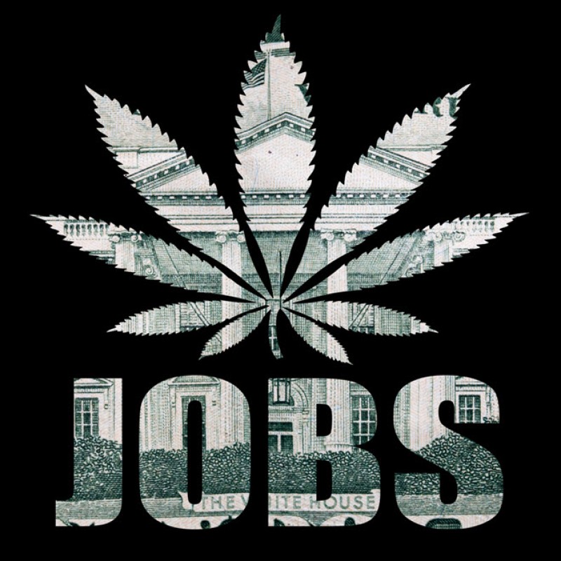 marijuana jobs in America