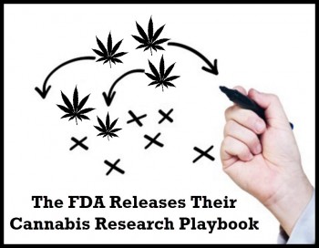 The FDA Releases Their Cannabis Research Playbook