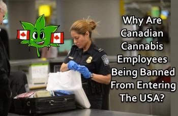 Why Are Canadian Cannabis Employees Being Banned From Entering The USA?