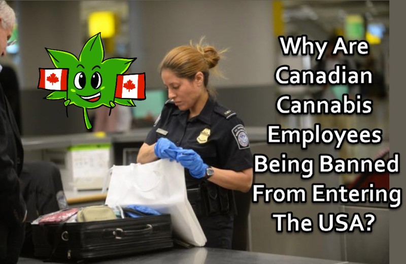 Canadian Cannabis Employees