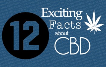 12 CBD Facts You Need To Know Right Now
