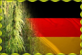 Is It Legal to Sell CBD and Hemp in Germany? - Historic Hemp Lawsuit Goes to Court in Germany
