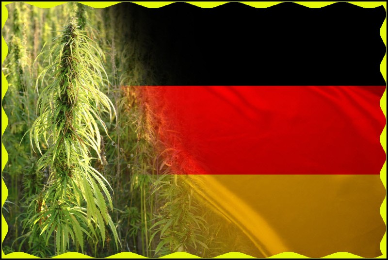 German hemp and CBD court case