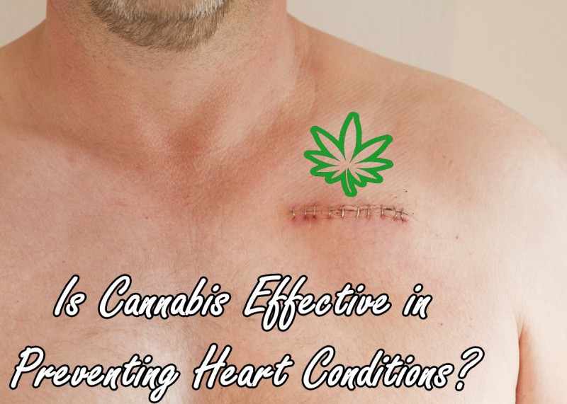 cannabis heart conditions