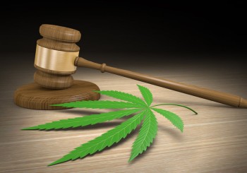 How the Supreme Court Overturning a Case Against Chevron Oil Threw the Marijuana Industry into Chaos