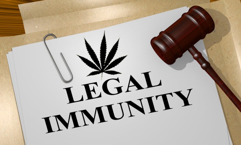 cannabis immunity clause