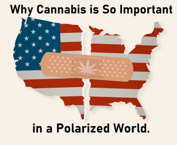 Why Cannabis is So Important in a Polarized World