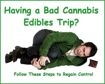 Having a Bad Cannabis Edibles Trip? - Follow These Steps to Get Control
