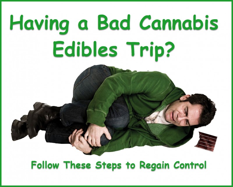 bad edibles trip