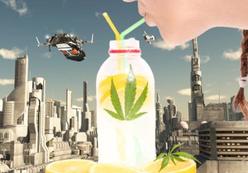 The Future King of Cannabis will be THC-Infused Beverages - 56% of Beer Drinkers Say They Want to Try One Says New Survey