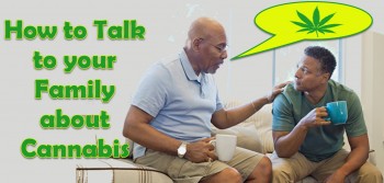 Talking to your Family about Cannabis this Holiday Season