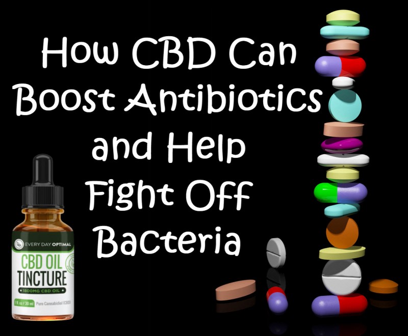 cbd for antibiotics