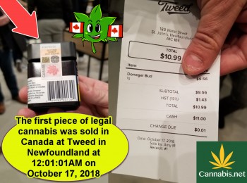 Canadian Recreational Cannabis Rules and Questions You Were Afraid To Ask
