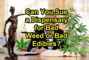 Cannabis Insurance - Can I Sue For Bad Weed or Edibles?