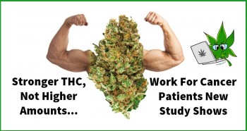 Stronger THC, Not Higher Amounts, Work Better for Cancer Patients New Study Shows