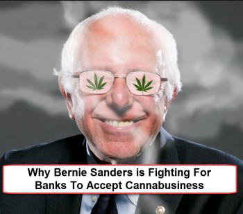 Bernie Sanders Is Still Fighting For The Cannabis Industry