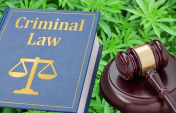 Nevada Supreme Court Rules Cannabis Deserves the Same Classification as Heroin - Why Rescheduling is No Longer a Guarantee