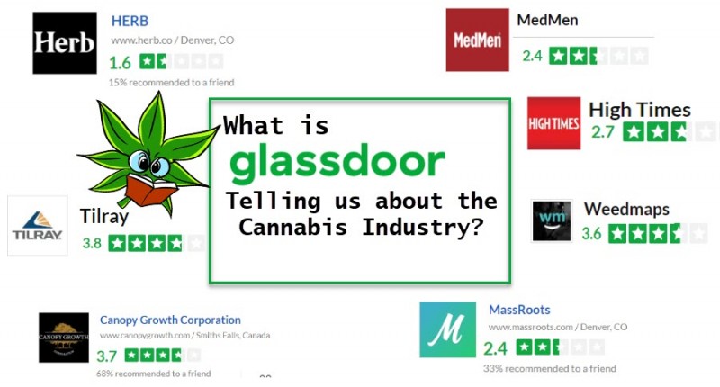 glassdoor cannabis jobs