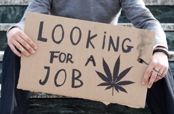 10 Killer Cannabis Industry Jobs and How Much Each One Pays