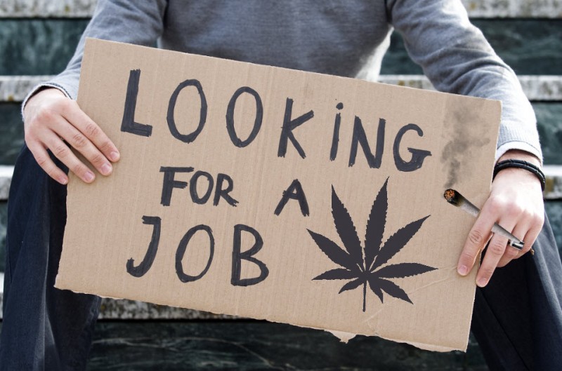 high paying marijuana jobs