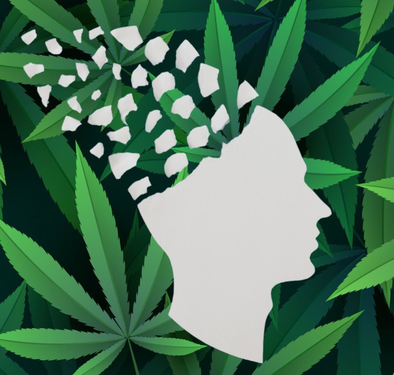 medical marijuana cognition