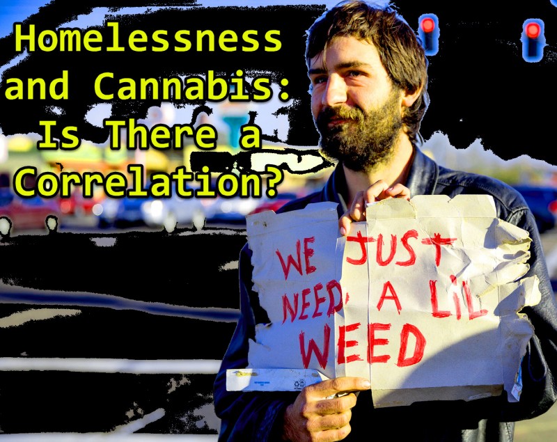 homelessness and cannabis