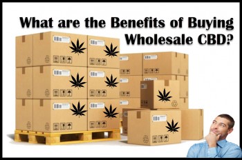 What are the Benefits of Buying Wholesale CBD?