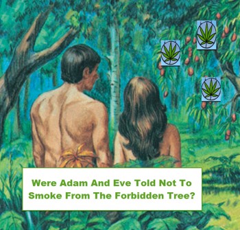 Were Adam And Eve Banned From The Cannabis Tree?