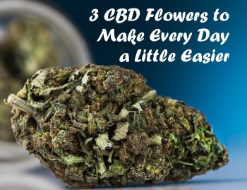 3 CBD Flowers to Make Every Day a Little Easier