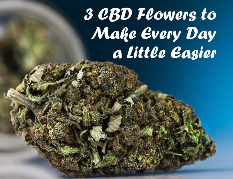 best cbd flower to smoke