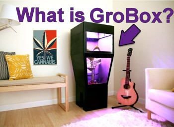 GroBox - Your Weed In a Box