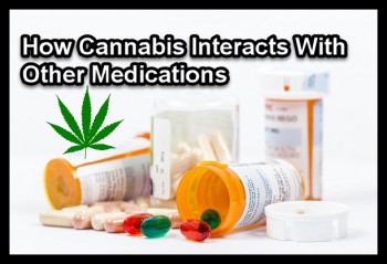 How Cannabis Interacts With Other Medications