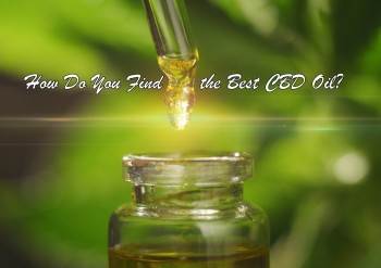 How Do You Find the Best Quality CBD Oil? (Hint - Learn the Lingo)