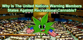 Why Is The United Nations Warning Members States Against Recreational Cannabis?