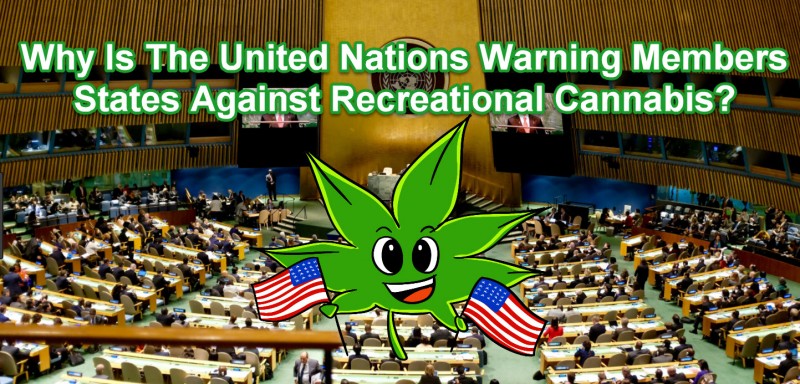 UN on marijuana