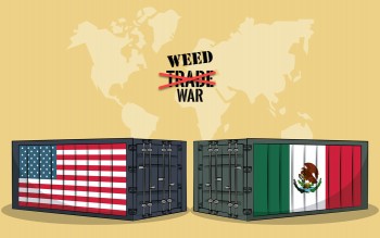 Mexico Now Importing US Marijuana - How Legalization Has Reversed the Weed Trade in North America