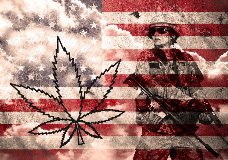 military cannabis recruits