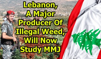 Lebanon, A Major Producer Of Illegal Weed, Will Now Study MMJ