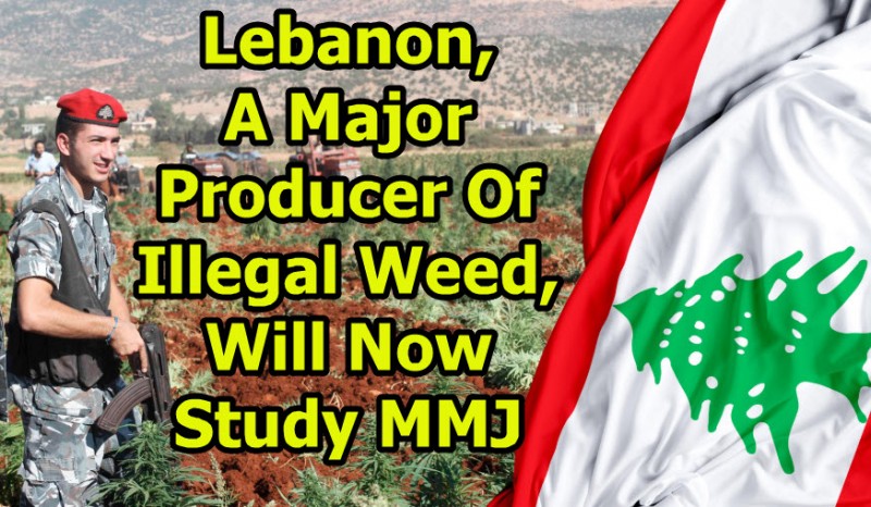 Lebanon cannabis laws