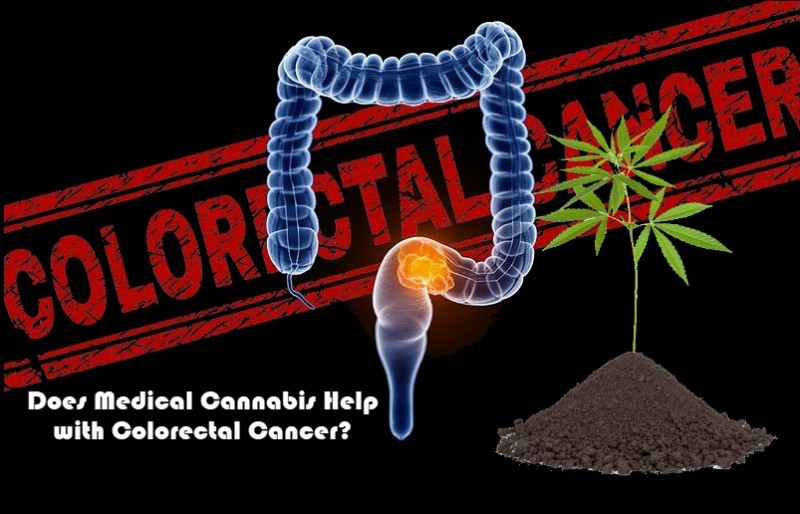 colorectal cancer and marijuana