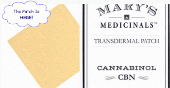 Transdermal Cannabis Patches - The Future Is Here
